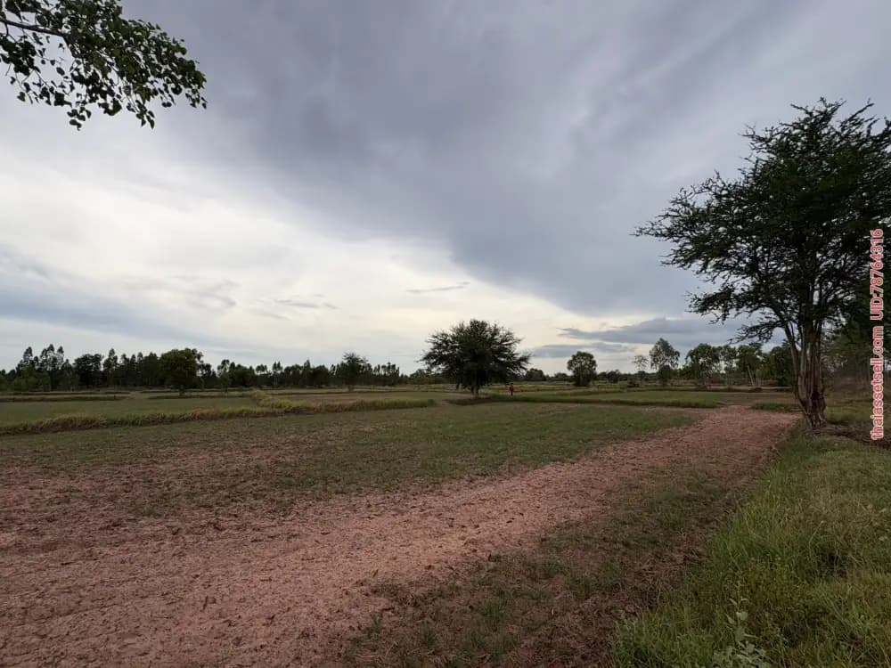 🔥 แบ่งขายที่ดิน 3 แปลง เมืองพล จังหวัดขอนแก่นพิกัด : 15°45'09.9"N 102°34'42.6"Eที่ดินติดห้วยโจด ต.หนองมะเขือ อ.พล จ.ขอนแก่นแปลงที่ 1 จำนวน 7.4 พล ขอนแก่น - รูปภาพที่ 4