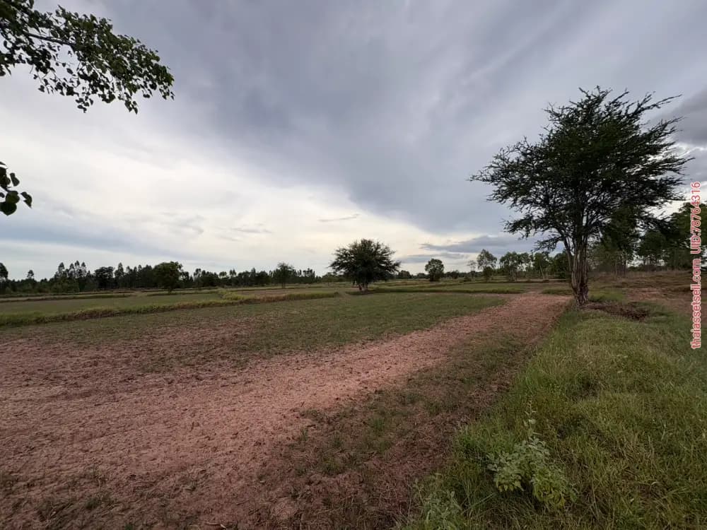 🔥 แบ่งขายที่ดิน 3 แปลง เมืองพล จังหวัดขอนแก่นพิกัด : 15°45'09.9"N 102°34'42.6"Eที่ดินติดห้วยโจด ต.หนองมะเขือ อ.พล จ.ขอนแก่นแปลงที่ 1 จำนวน 7.4 พล ขอนแก่น - รูปภาพที่ 5