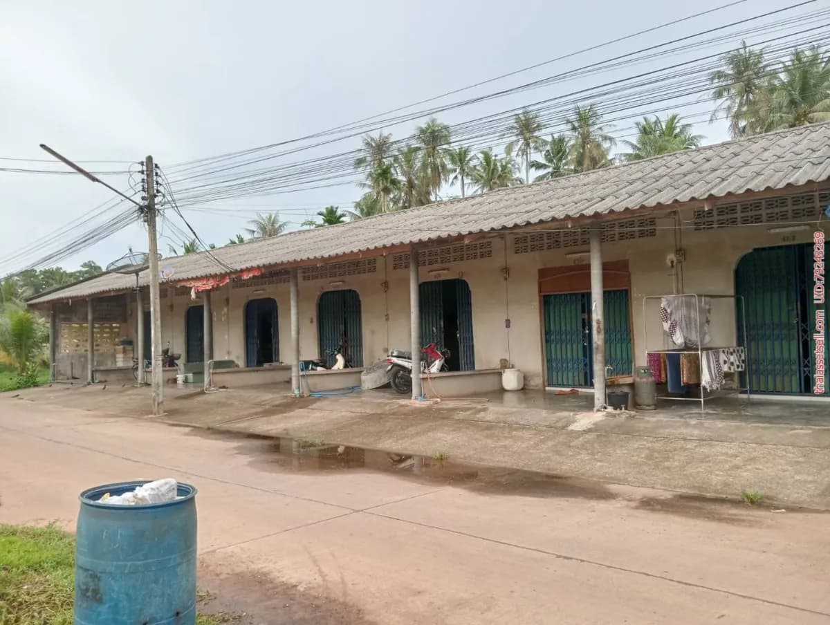 ประกาศขายด่วนห้องแถว 10 ห้อง ต.ท่ายาง อ.เมือง จ.ชุมพร ซื้อปุ๊บรับทรัพย์ทันที เมืองชุมพร ชุมพร