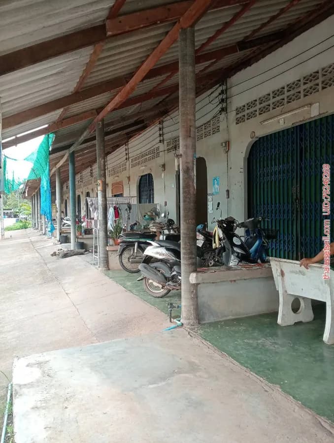 ประกาศขายด่วนห้องแถว 10 ห้อง ต.ท่ายาง อ.เมือง จ.ชุมพร ซื้อปุ๊บรับทรัพย์ทันที เมืองชุมพร ชุมพร